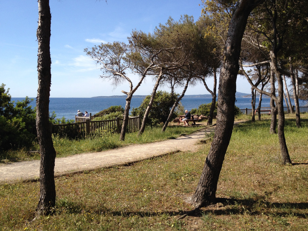 Parcours sous les pins en bord de mer